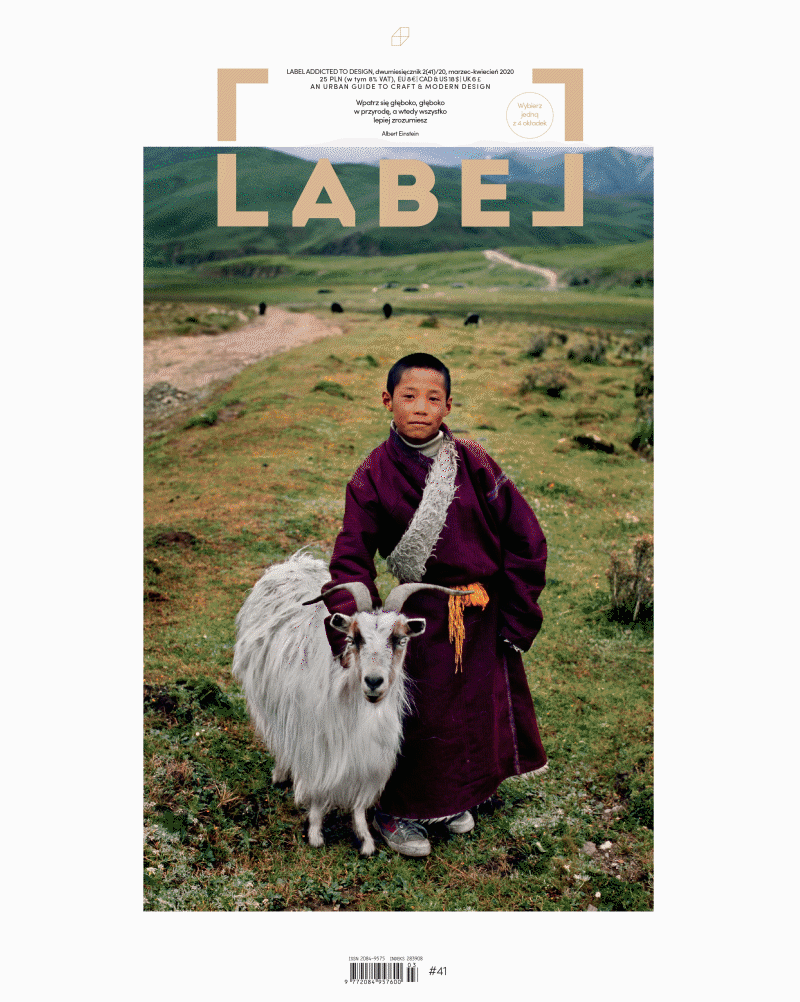 LABEL 41 – For the sake of our plane