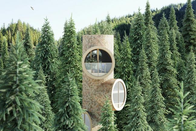 A house in a forest that looks like ... Minion!