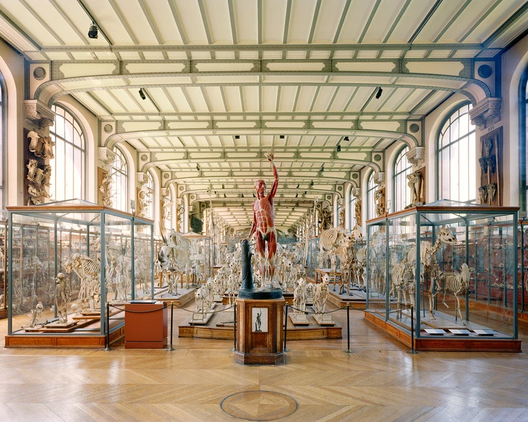 Niepokojący paradoks i „Zwierzęca logika” według Richarda Barnesa w Łodzi