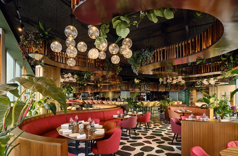 Selva: tropikalna dżungla nad dachami Amsterdamu