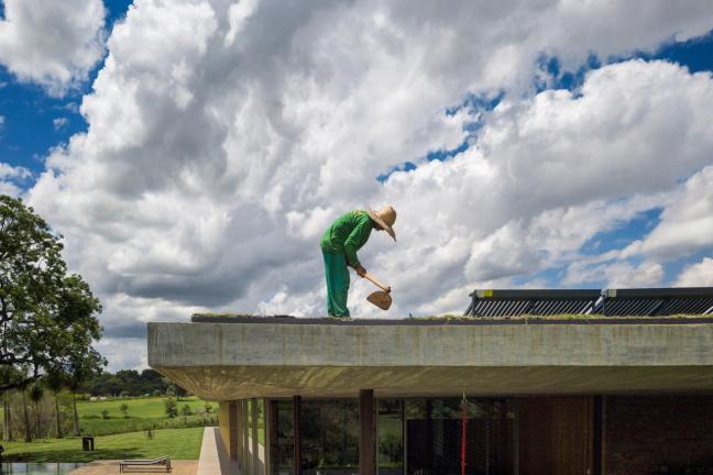 Lawn on the roof