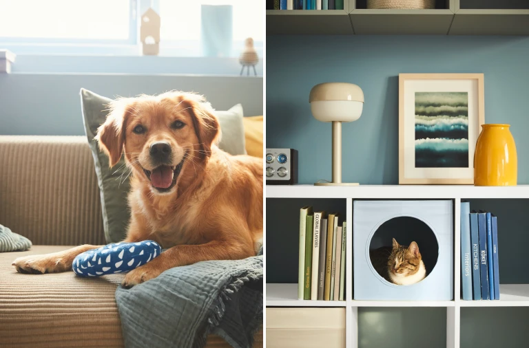 IKEA prezentuje nową kolekcję dla zwierzaków. Znajdziemy w niej estetyczne miski, legowiska i zabawki