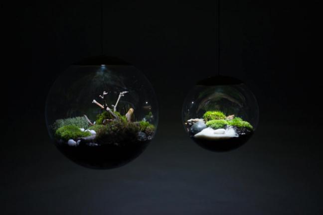 Lampa – terrarium Globe