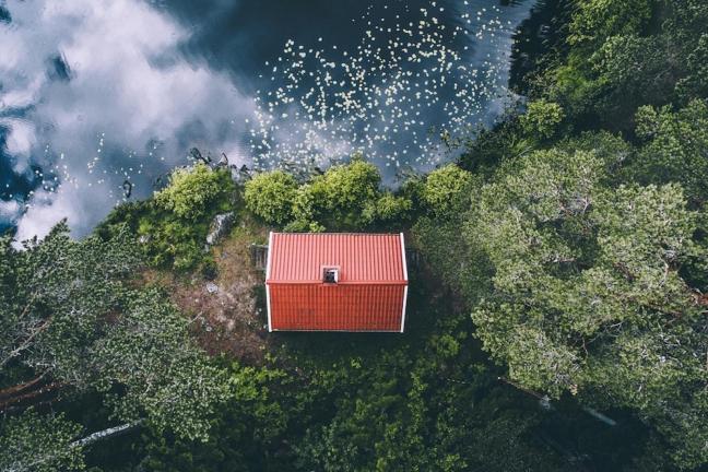The wonders of nature by Tobias Hagg