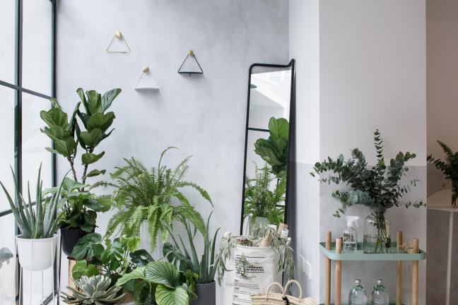 A family home that changes with the locals