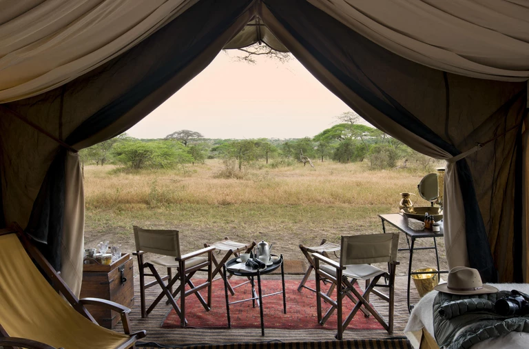 Gdzie tej wiosny zobaczyć młode zwierzęta w Afryce Wschodniej?