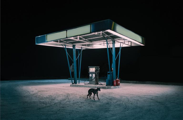 Mazurska galeria pod chmurką. Rusza 7. Wojnowski Festiwal Fotografii