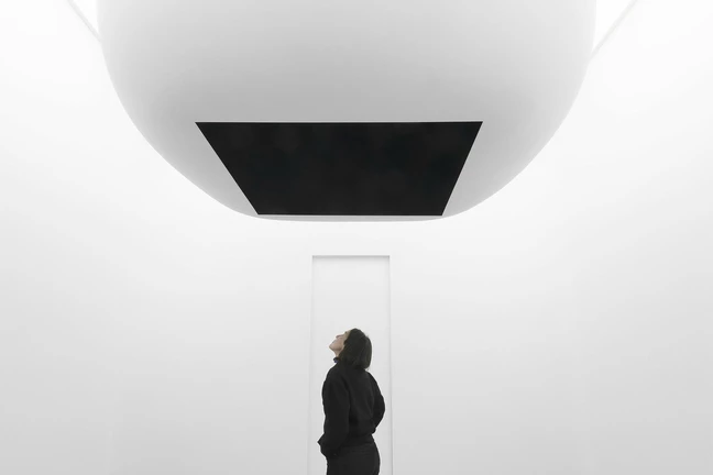 An Unpublished Work by Anish Kapoor at an Illusion Exhibition
