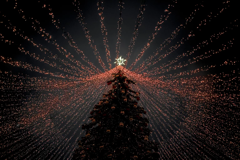 10 choinek, od których trudno oderwać wzrok