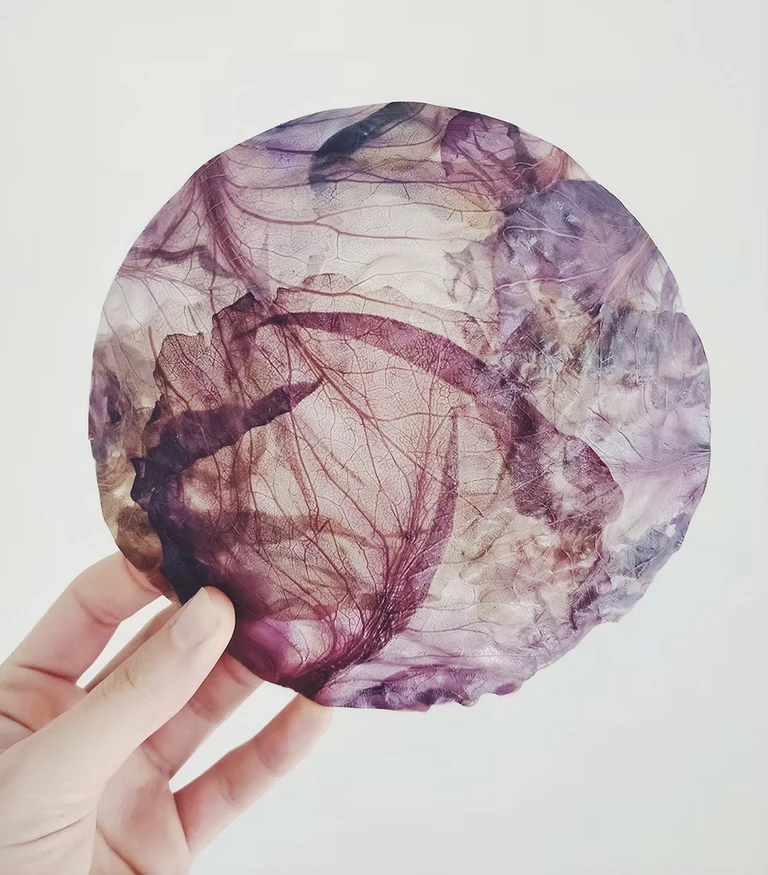 Czy cabbagecore to nowy cottagecore?