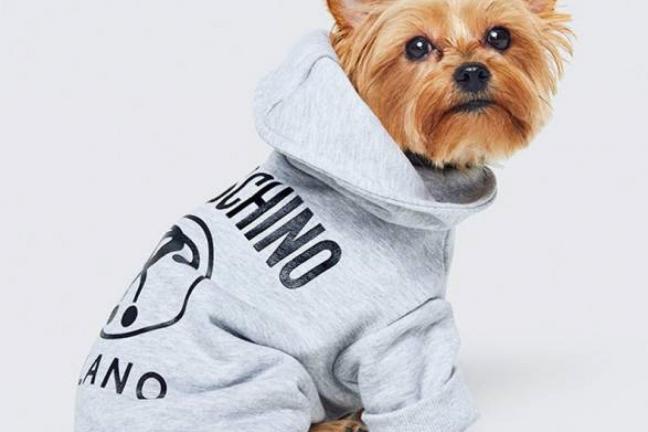 The first projects from the H&M x Moschino collection