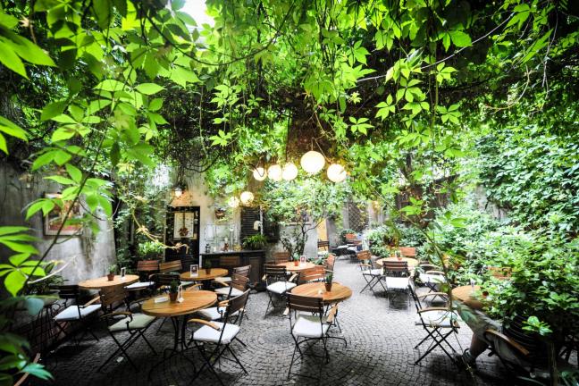 Magiczne miejsce w centrum Poznania
