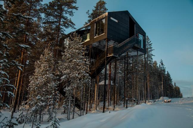 The hotel on a tree